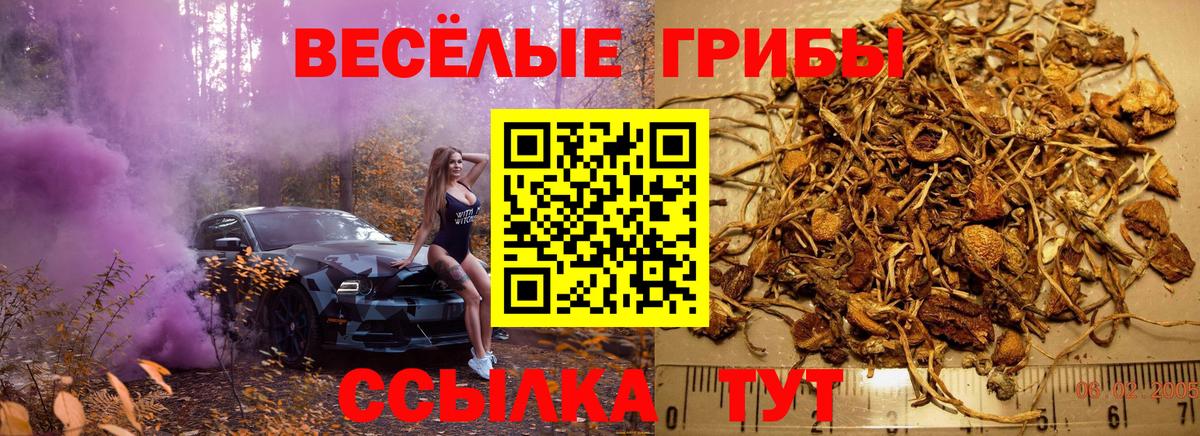 Кушва  Псилоцибиновые грибы Psilocybine cubensis  где купить наркоту  Вход с VPN 